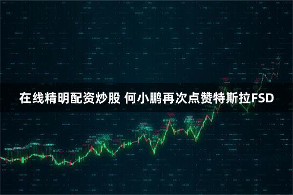 在线精明配资炒股 何小鹏再次点赞特斯拉FSD